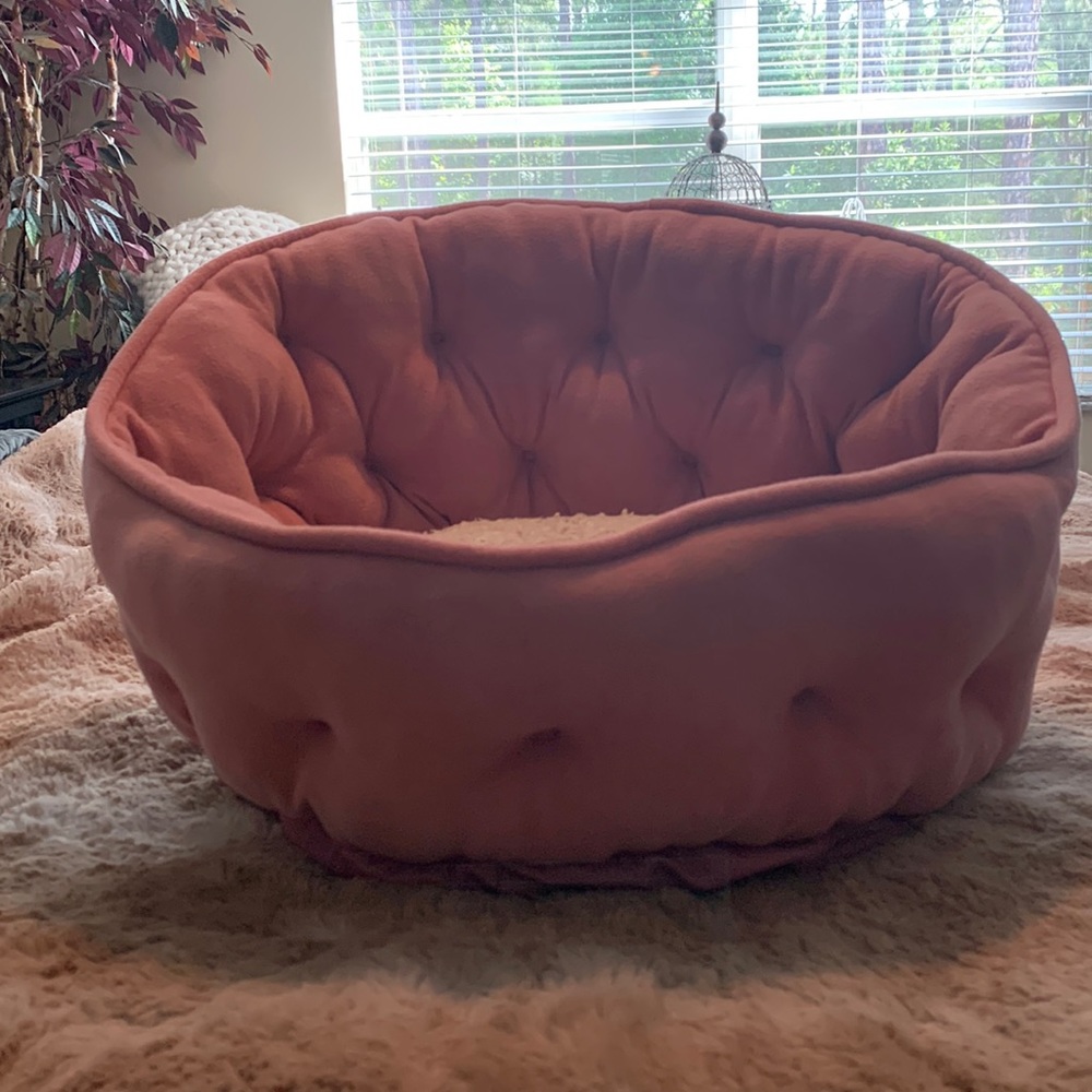 Dog Bed